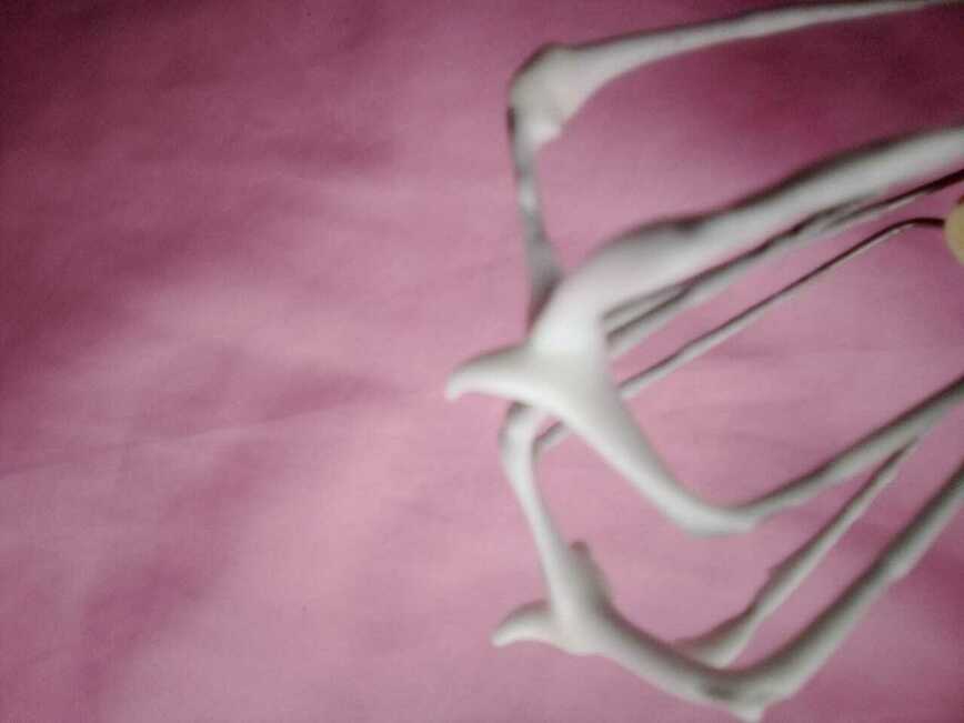 Изображение Фото автора 