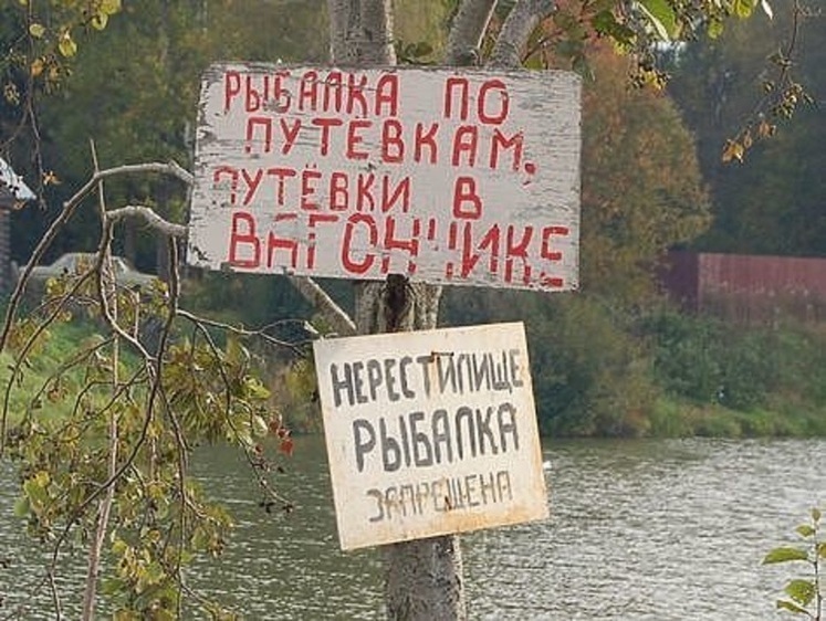 Нерестовый запрет в Московской области