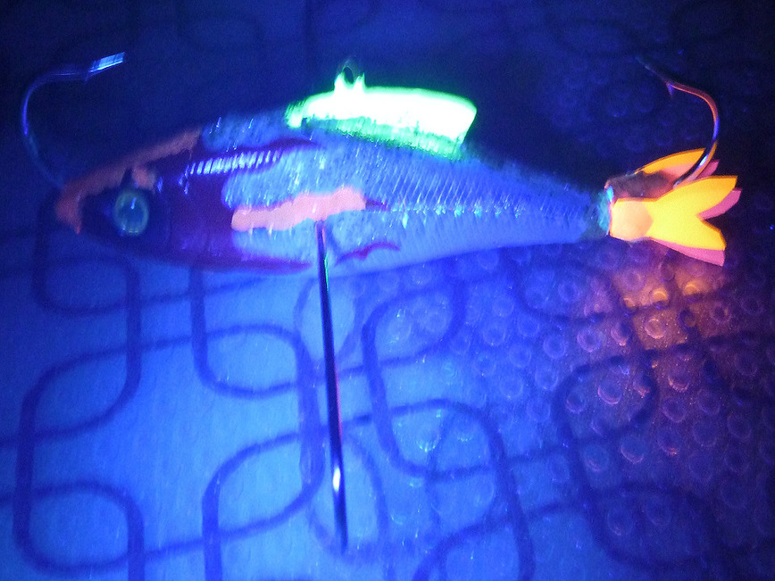 Изображение Фото: Смирнова Александра. 