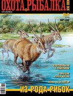 Обложка Выпуска 275