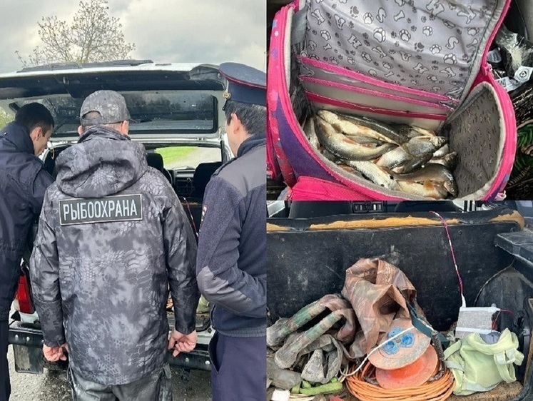 Электроудочник успел добыть более полусотни подуста