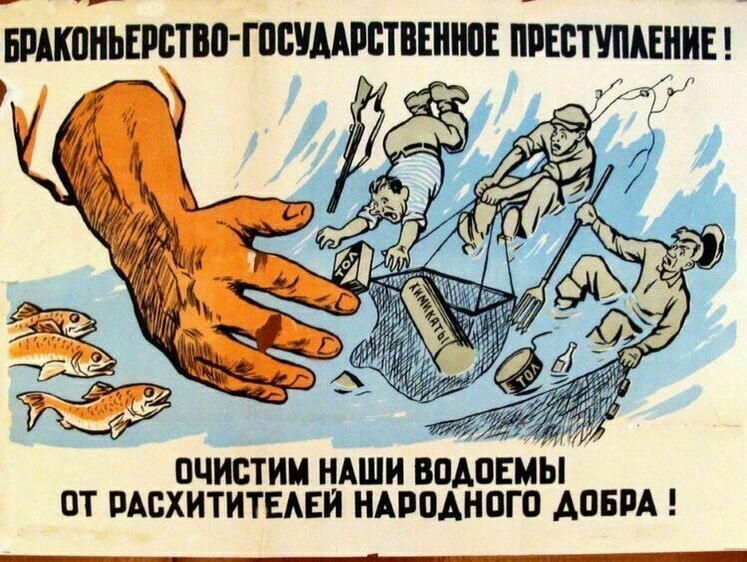 Гражданина задержали за незаконный вылов рыбы в нерест