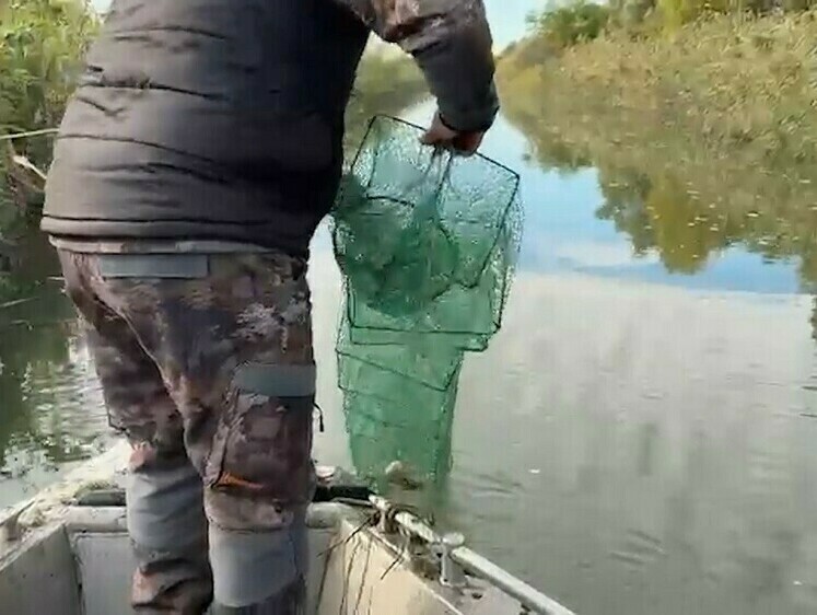 Из реки Дон достали запрещенные раколовки и крючья на осетровых