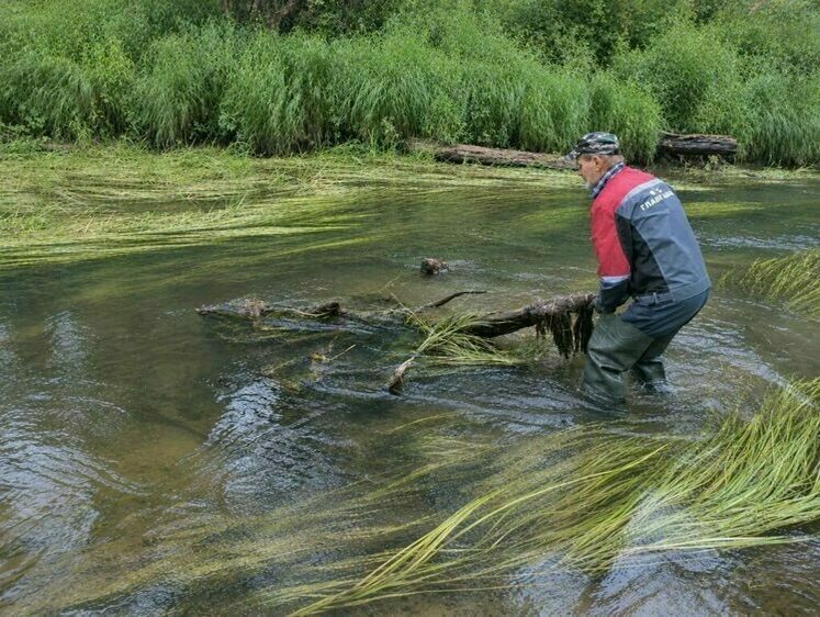 Главрыбвод расчистил от мусора и сетей 200 гектар водоемов