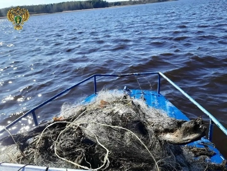 Прокуратура приняла участие в работе рыбоохраны