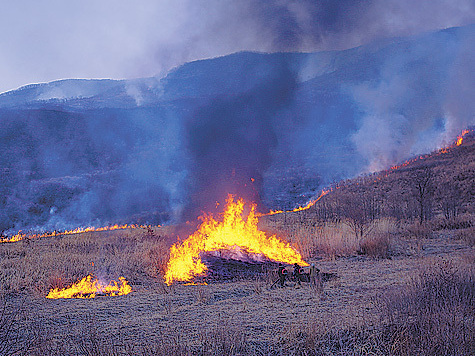 Изображение Пожары в заповеднике