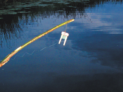 Летние жерлицы