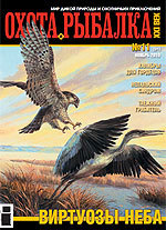 Обложка Выпуска 91