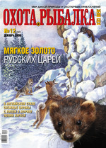 Обложка Выпуска 80