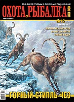 Обложка Выпуска 176