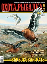 Обложка Выпуска 180