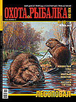 Обложка Выпуска 126