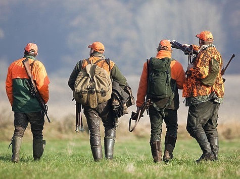 Изображение Подстреленный фазан обошелся охотнику в круглую сумму