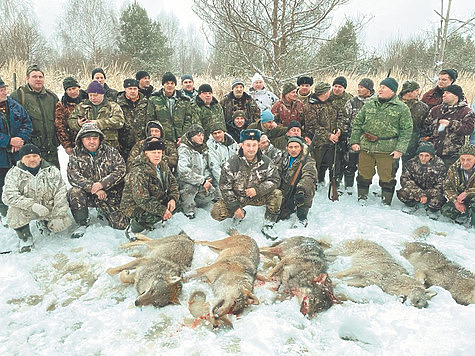 Изображение Волки обнаглели