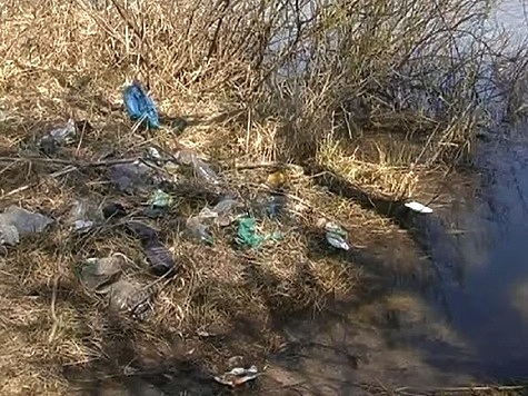 Изображение Cтартует Всероссийская акция по очистке от мусора берегов
