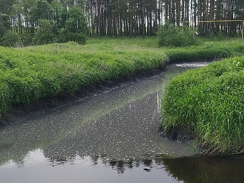 Изображение Ущерб реке Вязьма составил почти 2 миллиона рублей