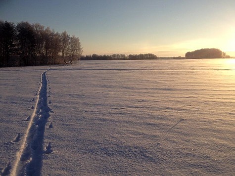 Изображение Московская область начала зимний маршрутный учет охотничьих ресурсов