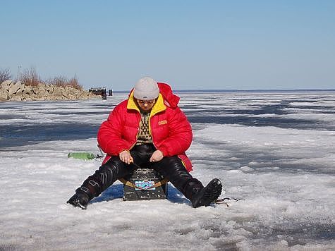 Изображение Ловим окуня на мели