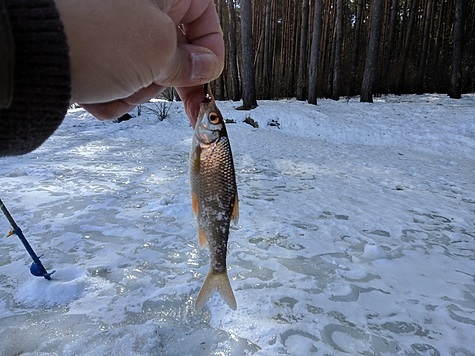 Изображение Поучительные эпизоды зимней рыбалки