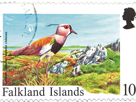 Изображение Чибисы на почтовых марках