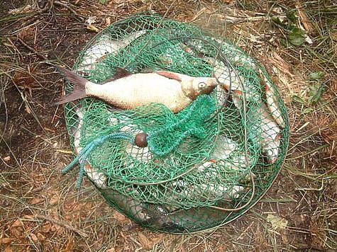 Изображение Новосибирские охотники нарушают Правила рыболовства