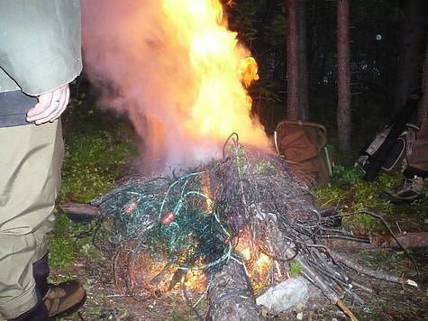 Изображение За лесковые сети дали условные сроки