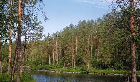 Изображение На Мурманских водоемах изъято 60 орудий лова