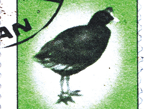 Изображение Пастушки на почтовых марках