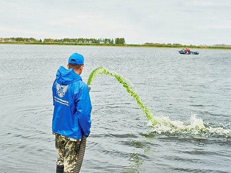 Изображение Рыболовы Челябинска будут ловить сазана