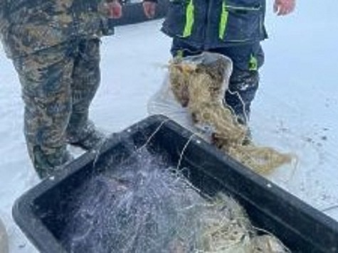 Изображение Волга-Камская рыбоохрана изымает сети
