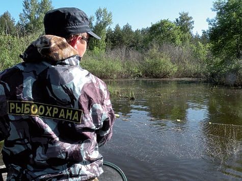 Изображение Новосибирская рыбоохрана напоминает о приближении нерестового запрета