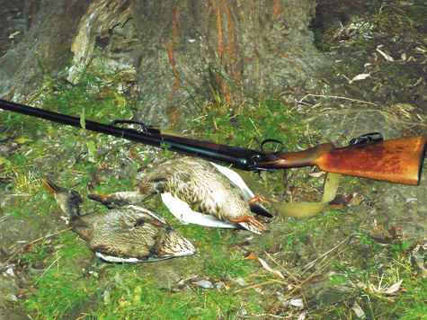 Изображение Открытие охоты  в Астрахани 