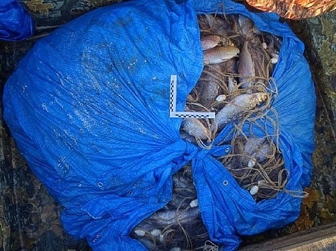 Изображение Инспектор рыбоохраны содействовал незаконной добыче омуля