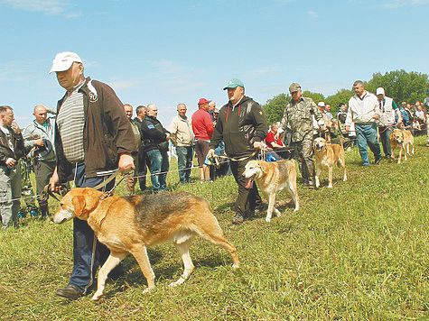 Изображение Выставки охотничьих собак в России
