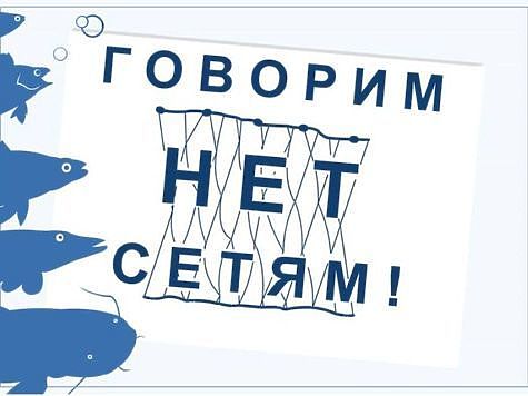 Изображение Росрыболовство 17 мая проведет акцию «Всероссийский день без сетей» 