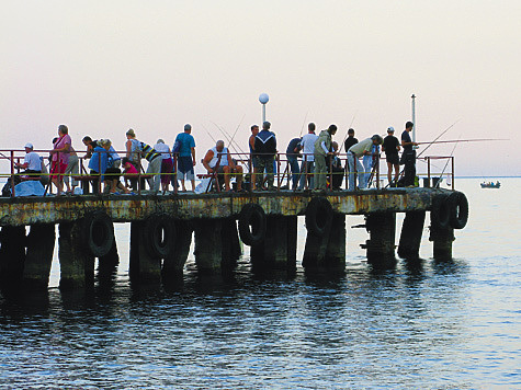 Изображение Крымский мост понравился рыбе