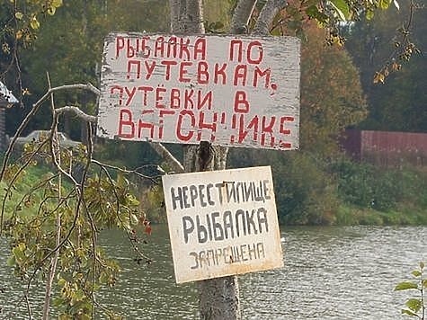 Изображение Настал нерестовый запрет в Ярославской области