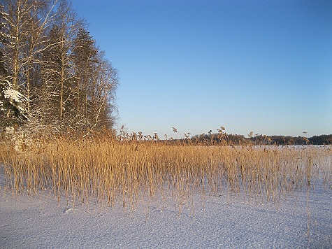 Изображение Озеро Ясское