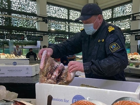 Изображение На рынке изъяли осетров и икру без документов