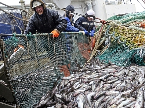 Промысел в охотском море