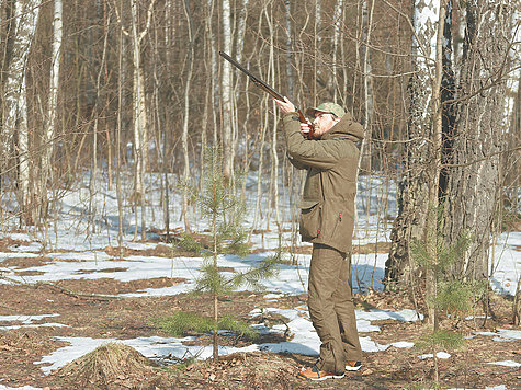 Изображение Вальдшнеп на мушке: правила успешной стрельбы