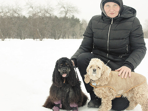 Изображение Здоровье собак зимой: что нужно знать и иметь