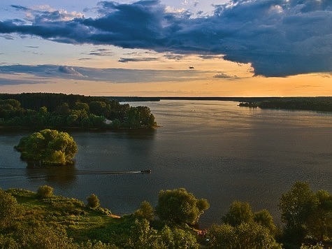 Изображение В Иваньковское водохранилище Волги выпустили сазана