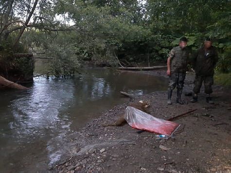 Изображение За добычу лососевой икры возбуждено уголовное дело