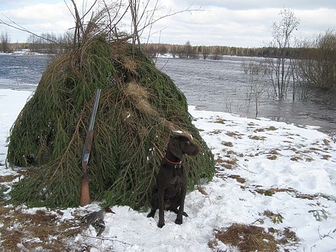 Изображение Представители охотничьего хозяйства Кировской области обсудили актуальные вопросы