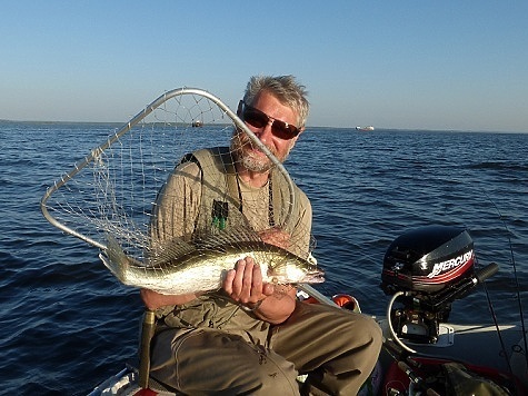 Изображение Рыбалка под Астраханью радует уловами