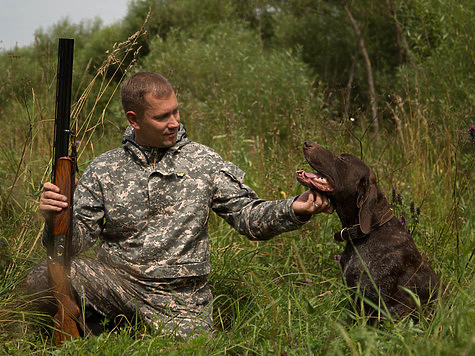 Изображение В Новгородской области открылась Всероссийская выставка охотничьих собак
