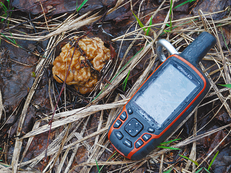 За строчками