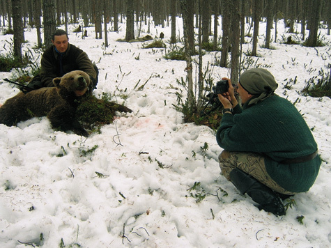 Изображение За медведем  в Жигалово