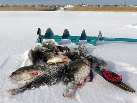 Изображение Новости с водоемов Волгоградской области